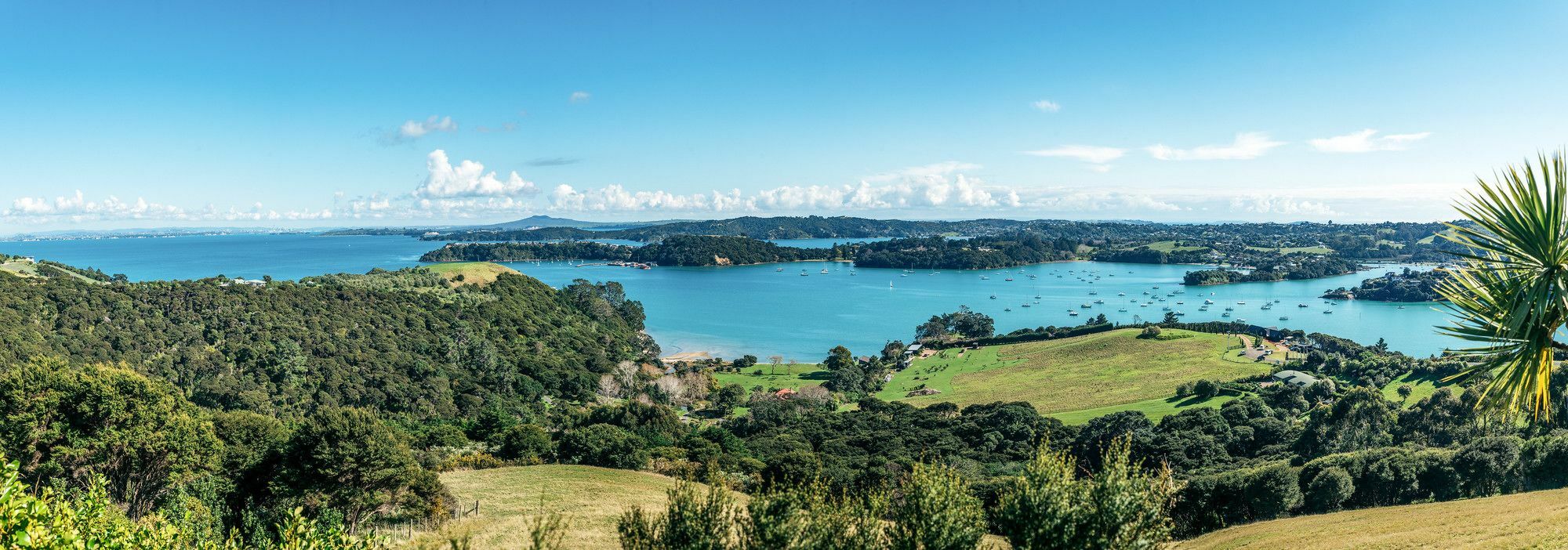 Te Whau Lodge Omiha Eksteriør bilde